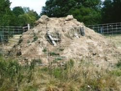 O.N.C.F.S. Visite du domaine de Saint-Benoîst en Forêt de Rambouillet (78) en 2006 - Etudes sur le lapin de garenne.